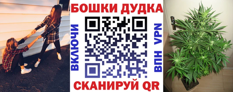 Где купить наркотики Лосино-Петровский КОКАИН  Экстази  Мефедрон  ГАШИШ  Конопля  Галлюциногенные грибы 