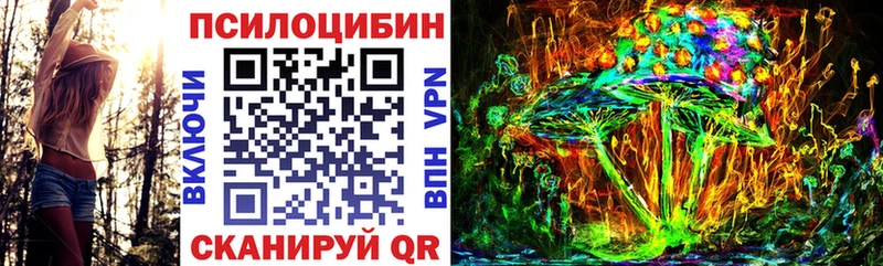 Псилоцибиновые грибы мухоморы  МЕГА как войти  Лосино-Петровский  купить закладку 